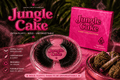 Jungle Cake – Extra Fluffy Dramatic False Lashes - Social Hour
